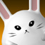 Chubbins Chubbins